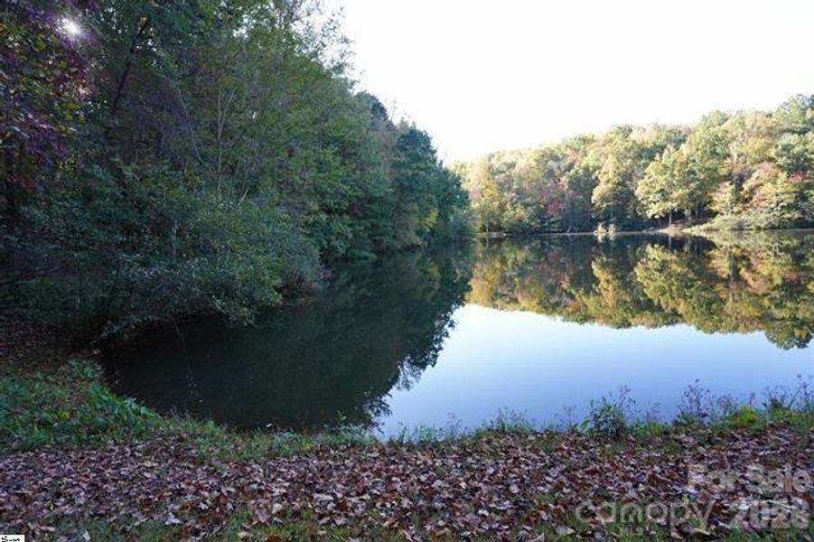 Natural landscape and outdoor views near  in Travelers Rest (Image 42).