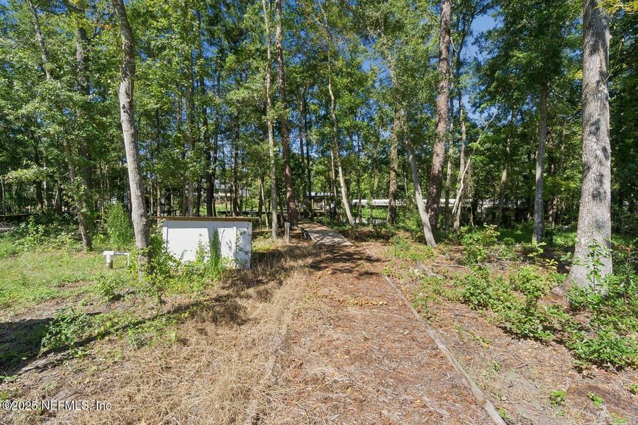 Natural landscape and outdoor views near in Jacksonville (Image 39). Natural landscape and outdoor views near in Jacksonville (Image 39).