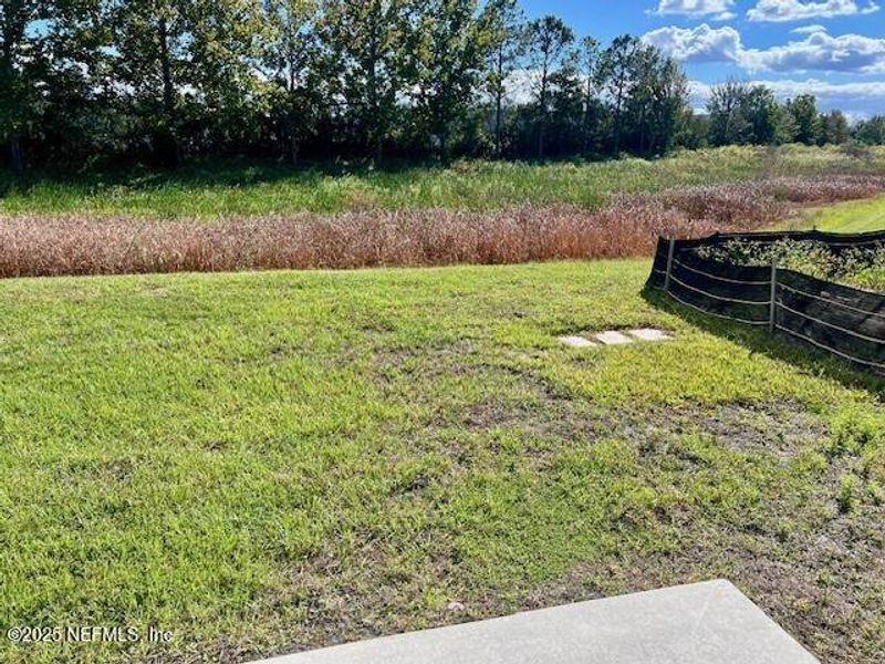Natural landscape and outdoor views near Corsair in Middleburg (Image 36).