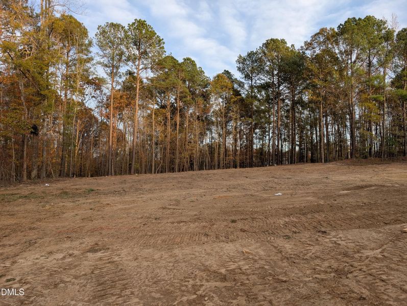 PXL_20251113_213109147