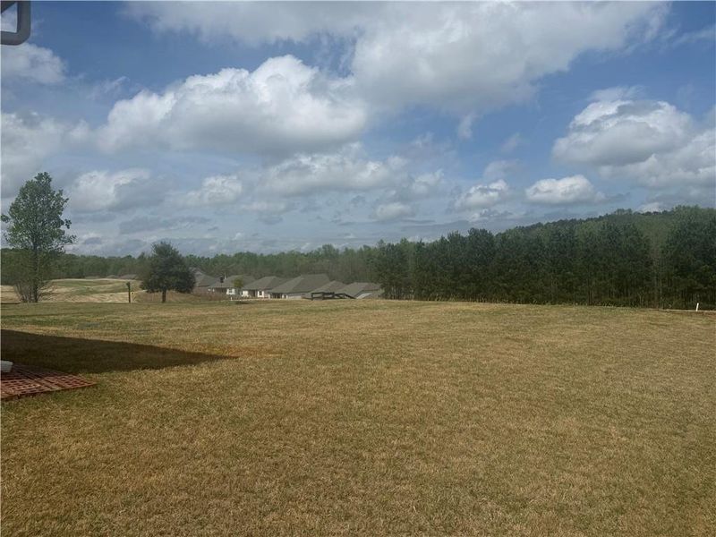 Natural landscape and outdoor views near  in Homer (Image 31).