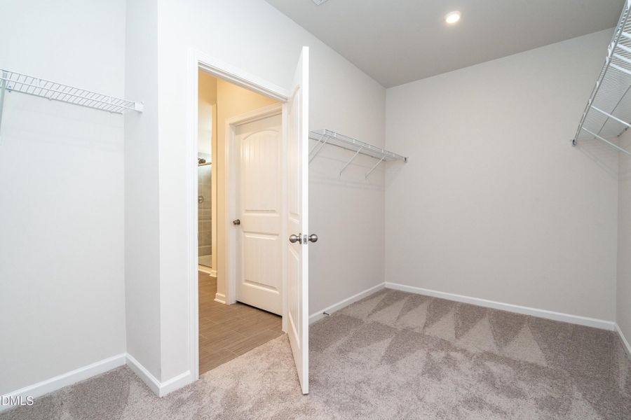 Representational Photo