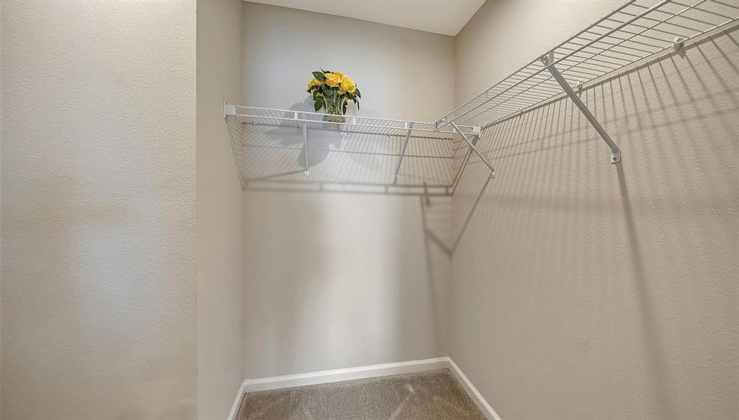 Spacious, unfurnished interior of a new home in , Bradenton (Image 32).