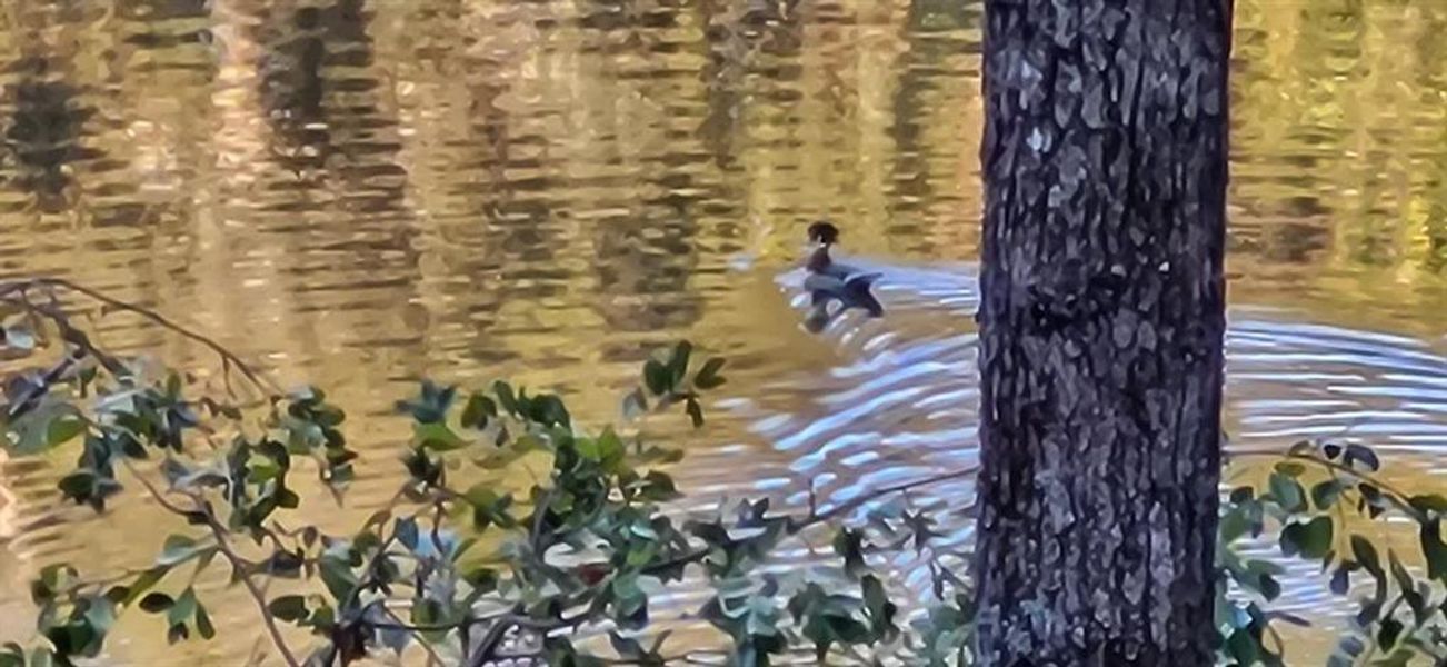 Image 70 of a home in . Image 70 of a home in .