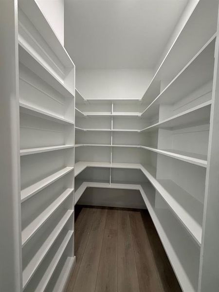 Large walk in pantry with a wall of can and jar shelves