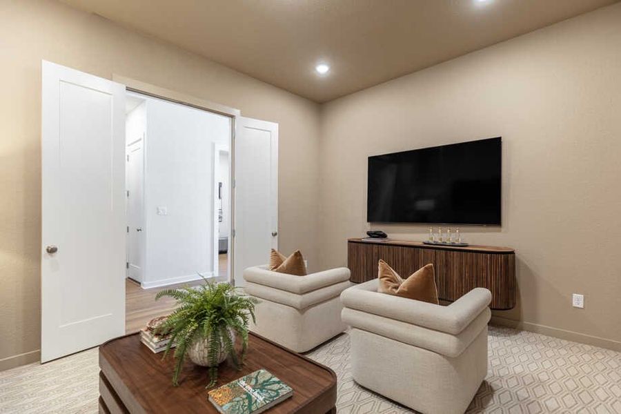 Entertainment Room