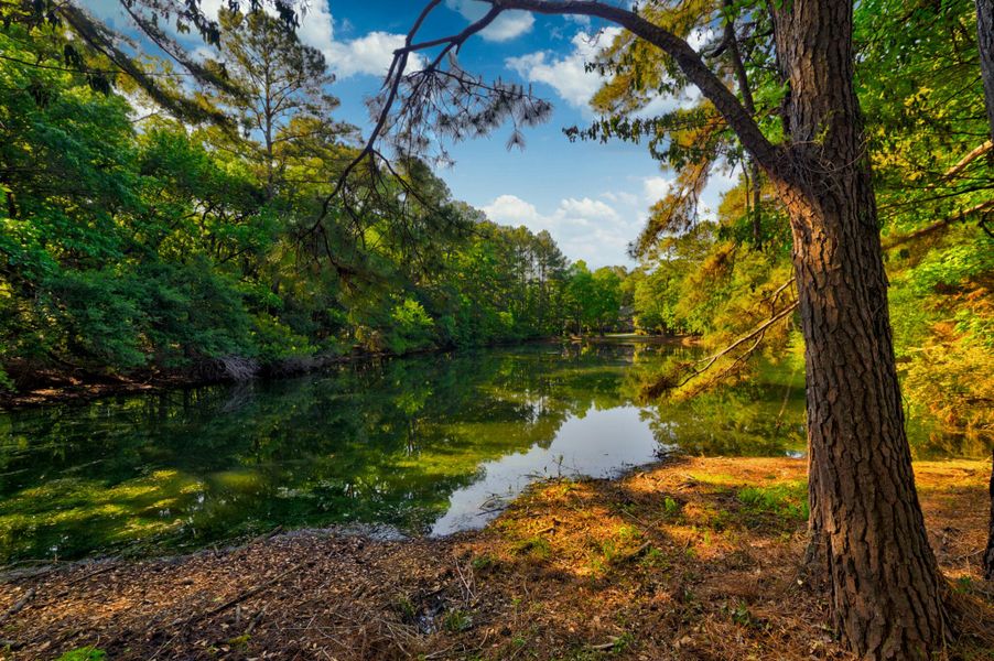 Natural landscape and outdoor views near  in Hollywood (Image 48).