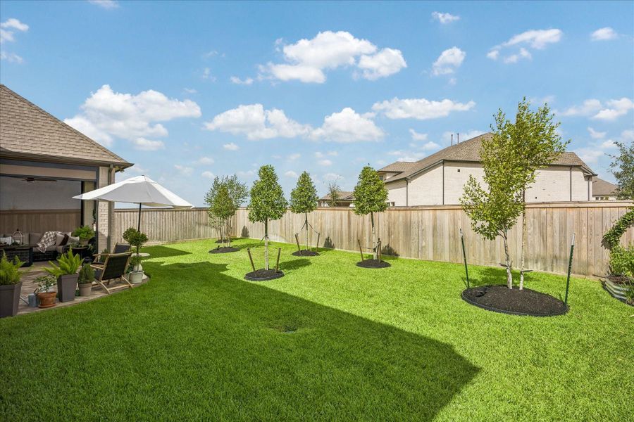 Exterior details and patio area of a home in Prairieland Village - Summit Collection, Cypress (Image 25).