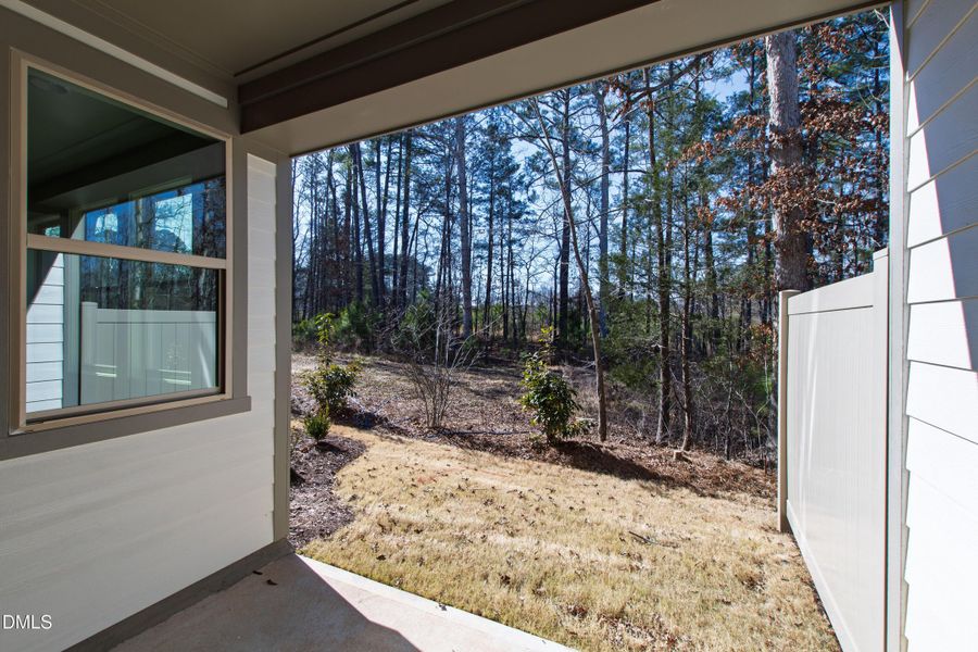 982 Helix (47) 982 Helix (47)