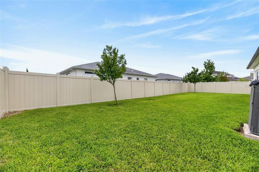 Exterior details and patio area of a home in Robin's Cove at Epperson, Wesley Chapel (Image 34).