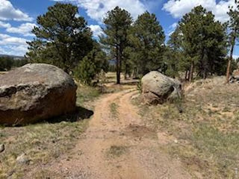 Natural landscape and outdoor views near  in Red Feather Lakes (Image 16).