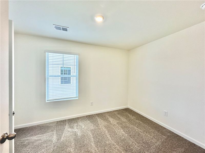 *Photo is from similar Palomino. Actual pics will