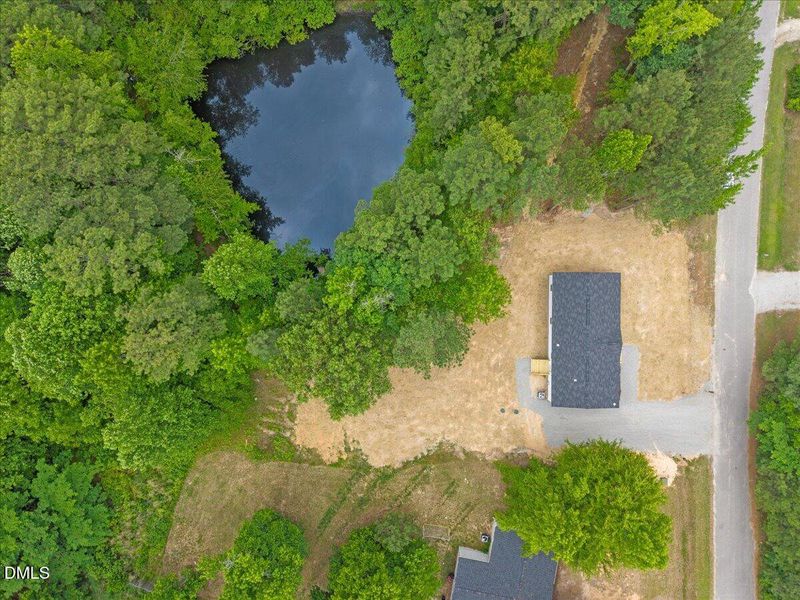ariel view