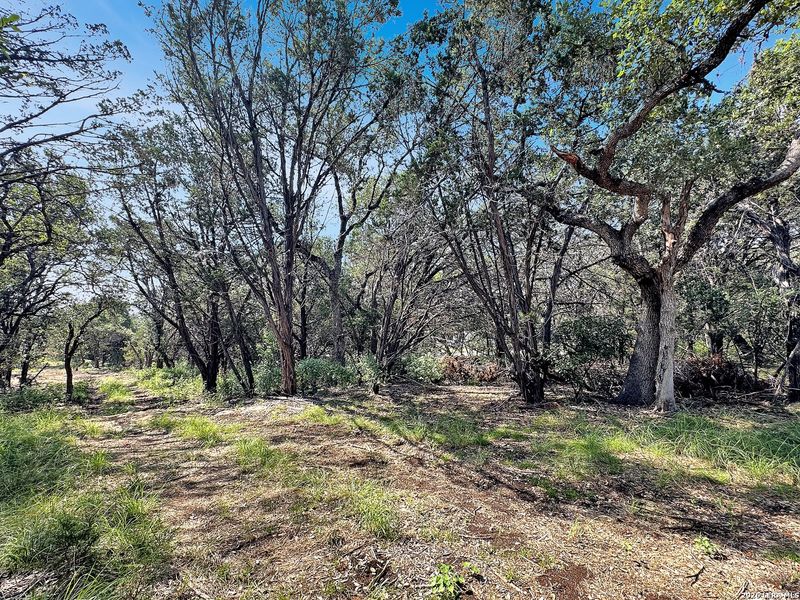 Natural landscape and outdoor views near  in Canyon Lake (Image 27).