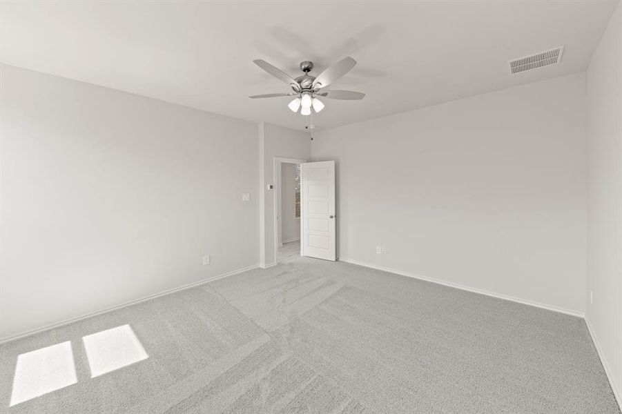 19. 3311 Dahlia - Primary (2)