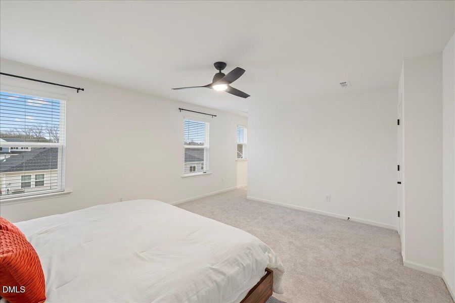 31-50 Button Bush Dr