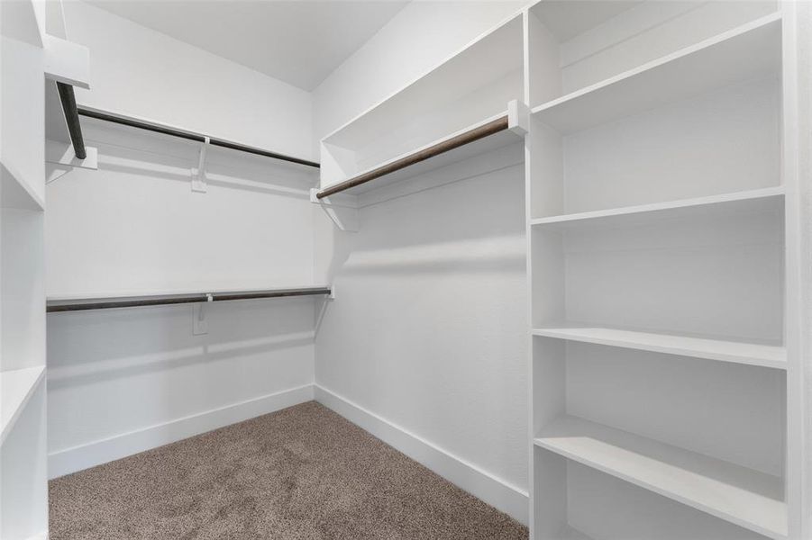 Spacious closet with carpet