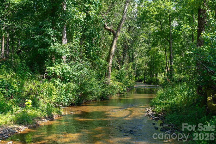 Natural landscape and outdoor views near  in Arden (Image 15).