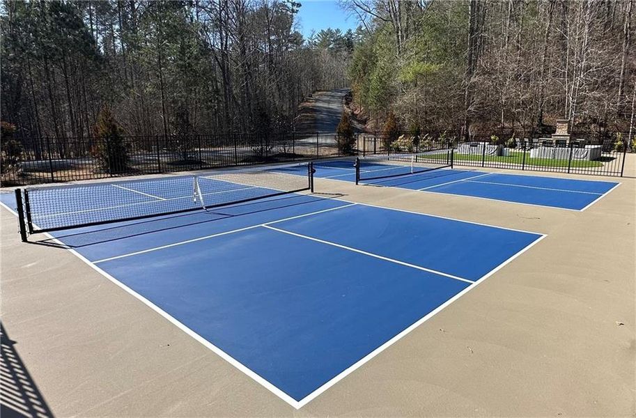Community amenities in , Ellijay (Image 21).