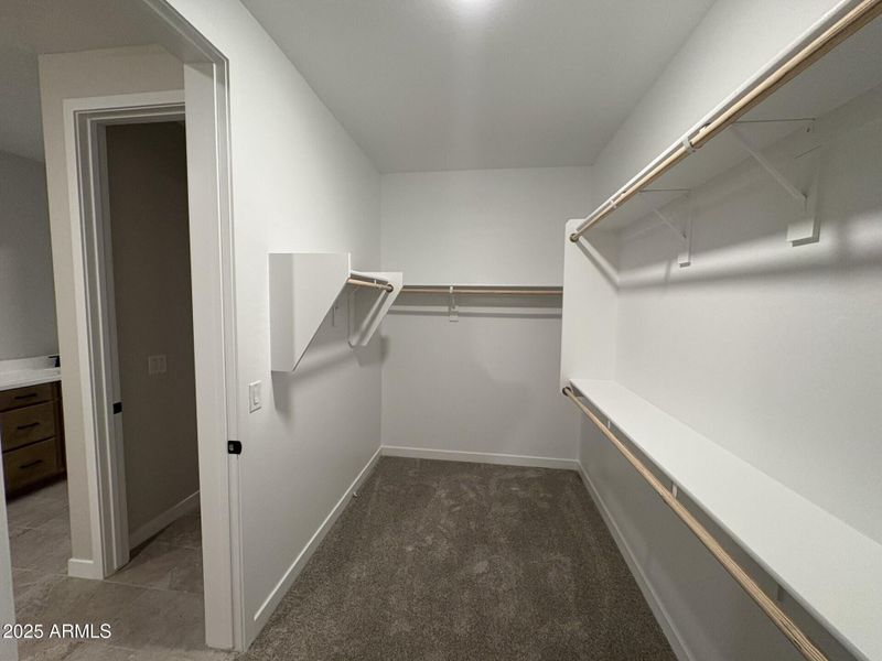 CP45 Lot 107 PR WIC CP45 Lot 107 PR WIC