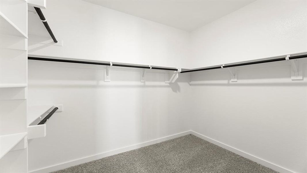 17. 613 Wicklow - Closet