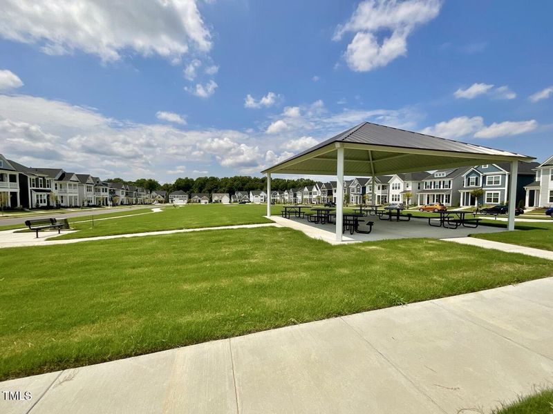 IMG_1108 Large IMG_1108 Large