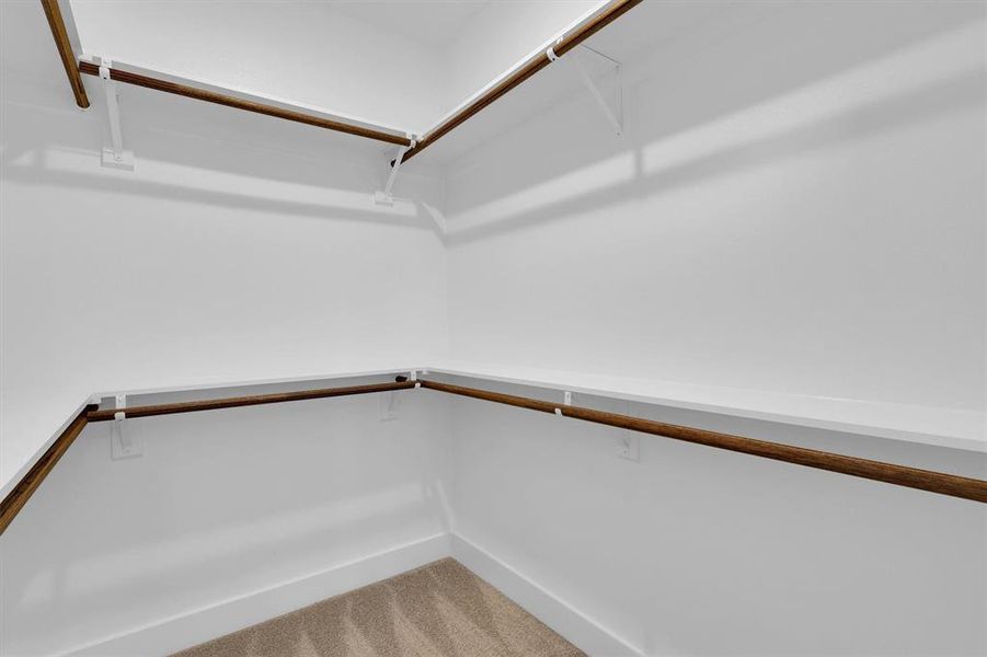 Walk in closet featuring carpet Walk in closet featuring carpet