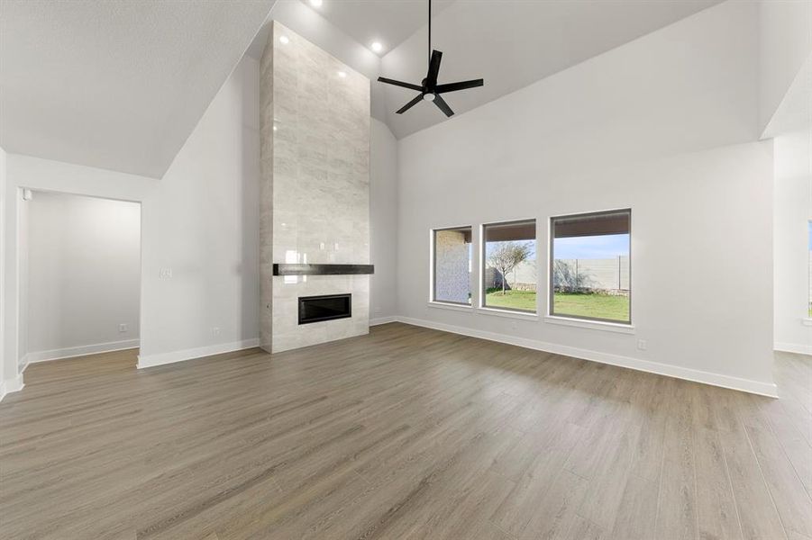 04. 2917 Andesite - Family