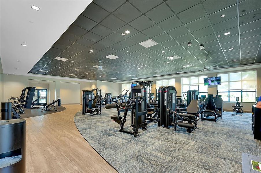 Community amenities in , Venice (Image 35). Community amenities in , Venice (Image 35).