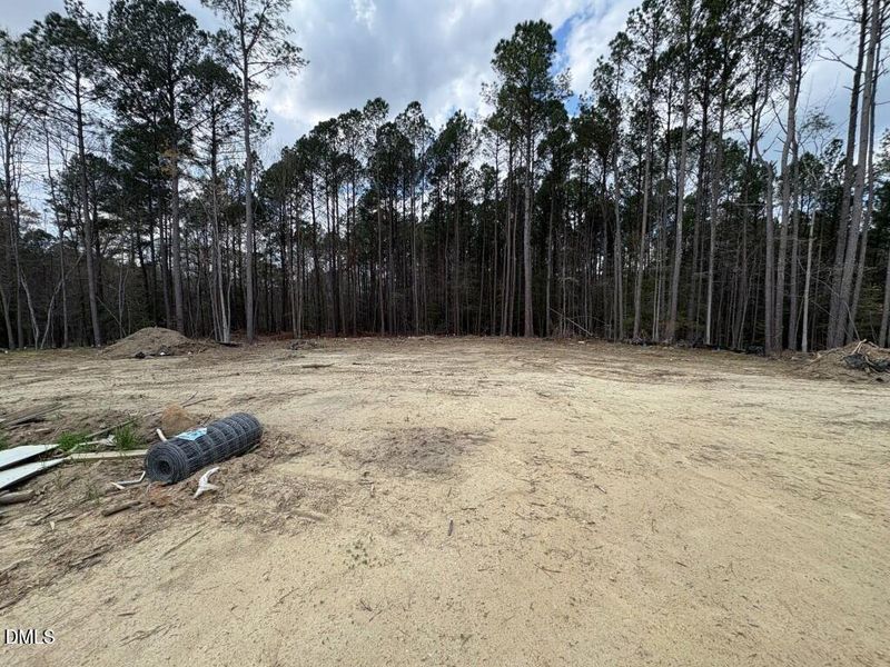 Photo Mar 23 2026, 2 48 13 PM (Medium)