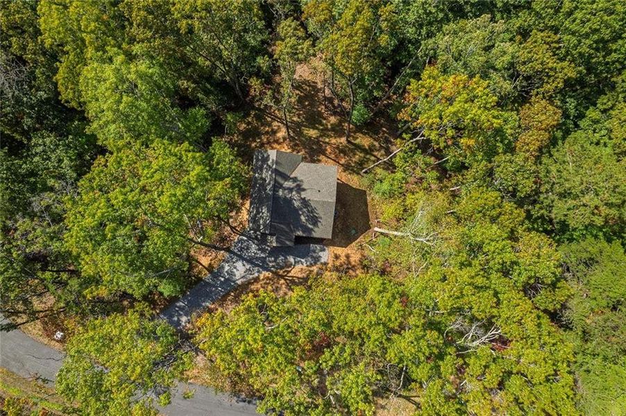 Natural landscape and outdoor views near  in Cherry Log (Image 23).