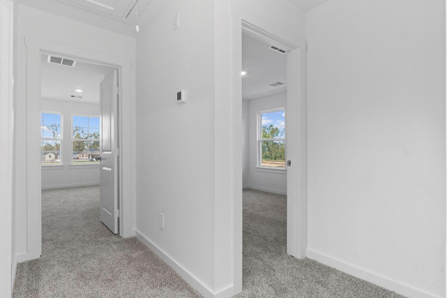 *Images and 3D tour are for illustration only and options may vary from home as built.