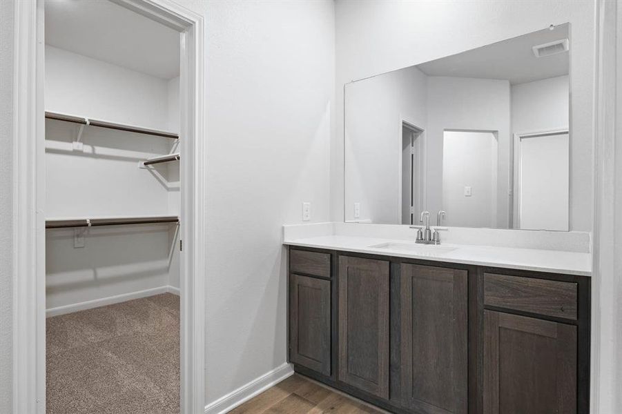 Bathroom with vanity, light wood-style flooring, light carpet, and a spacious closet Bathroom with vanity, light wood-style flooring, light carpet, and a spacious closet
