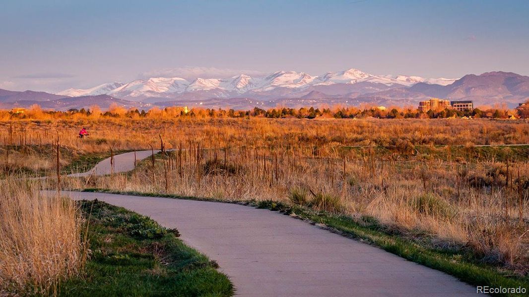 Image 30 of a home in Arcadia. Image 30 of a home in Arcadia.
