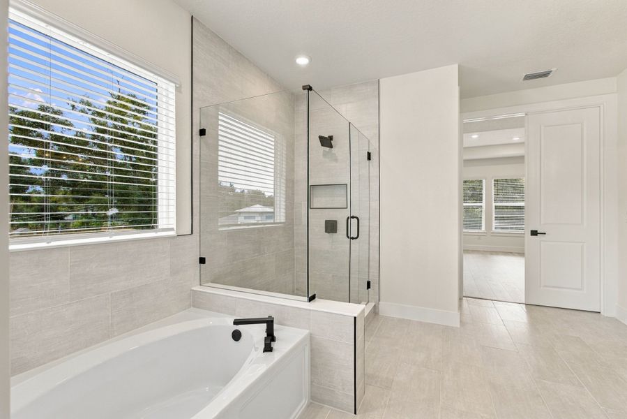 Owner's Bath