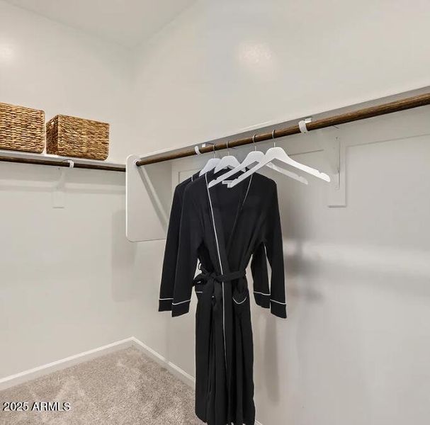 Owners Walk in Closet