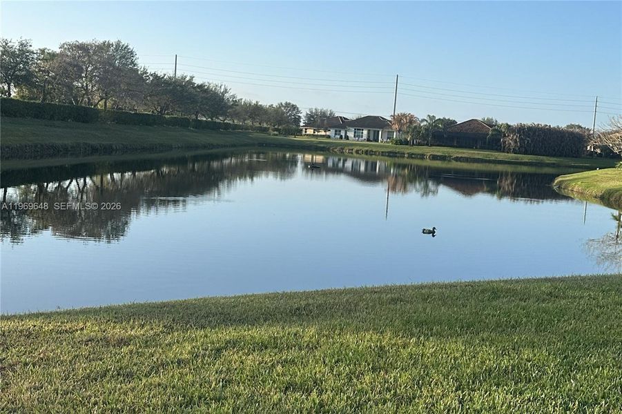 Natural landscape and outdoor views near  in Vero Beach (Image 23).