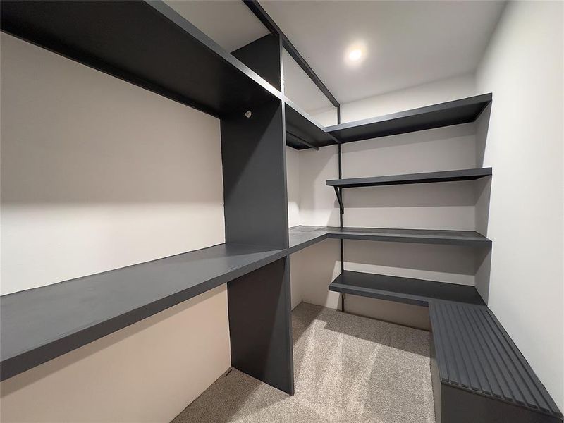 Spacious closet featuring carpet floors