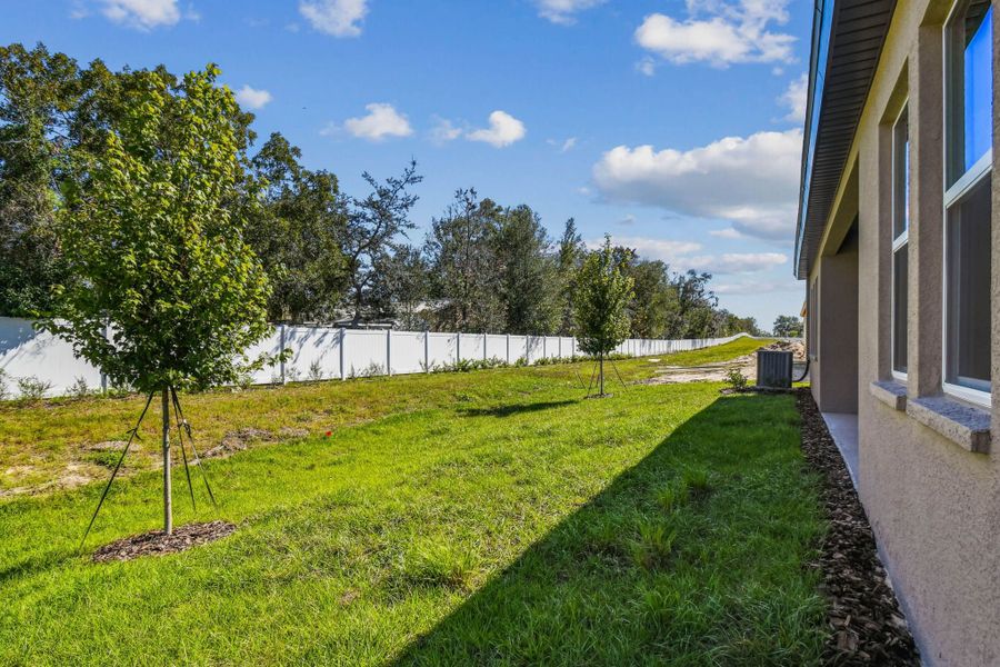 Exterior details and patio area of a home in Pinecone Reserve, Brooksville (Image 33).