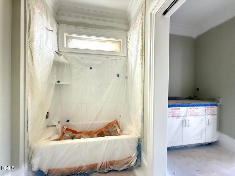 IMG_1380 2 (Medium) IMG_1380 2 (Medium)