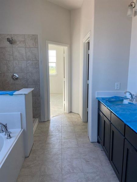 Bathroom featuring a built-in tub, tiled shower with chrome fixtures, and a vanity with a dark finish