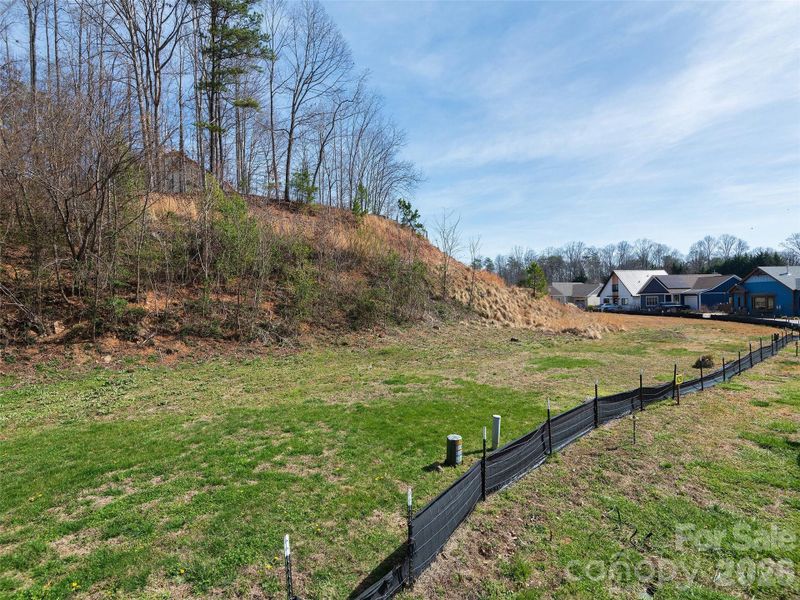 Another view of the Courtyard Villas community setting, with additional homesite opportunities available as part of the overall offering.