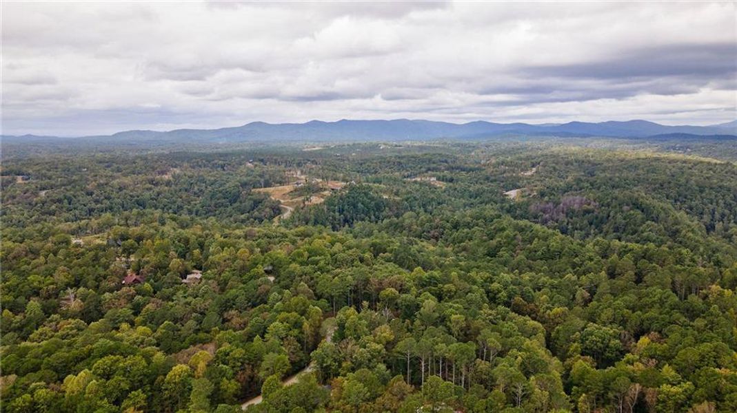 Natural landscape and outdoor views near  in Ellijay (Image 48).