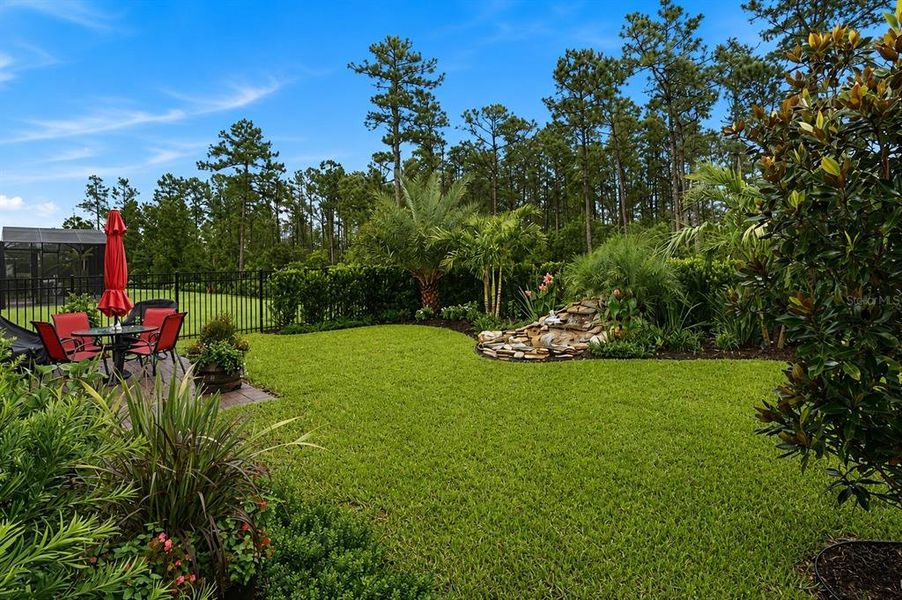 Image 29 of a home in Del Webb Sunbridge.