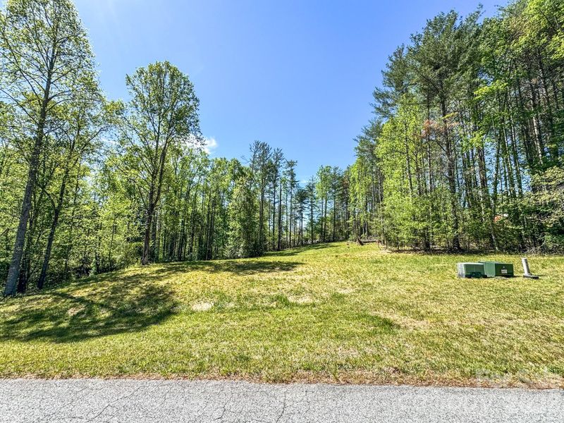 Natural landscape and outdoor views near  in Hendersonville (Image 3).
