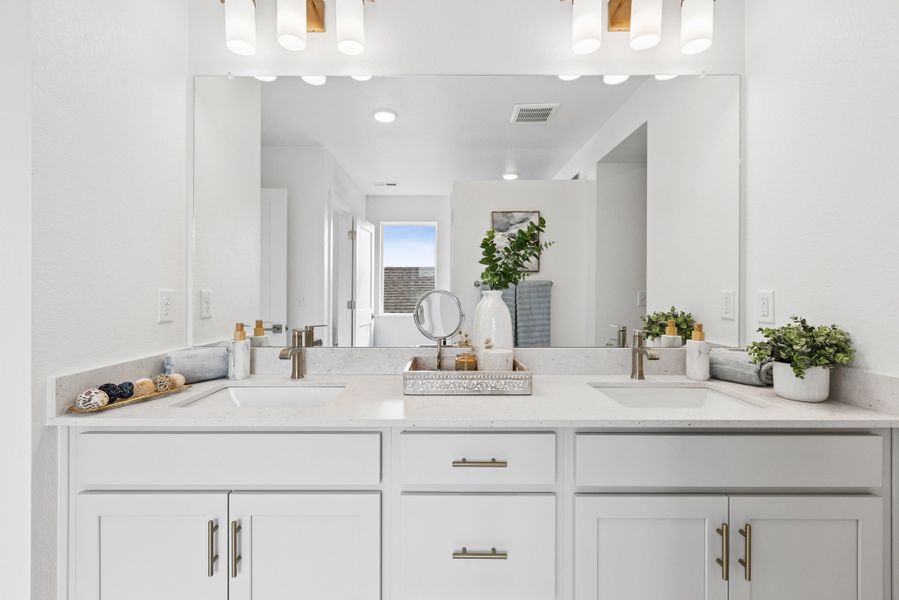 Owner's Bath
