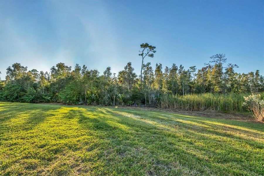 Natural landscape and outdoor views near  in Punta Gorda (Image 45).