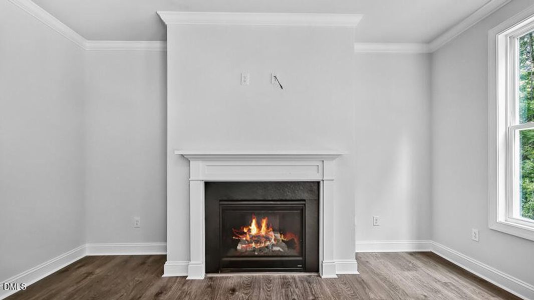 Family Room Family Room