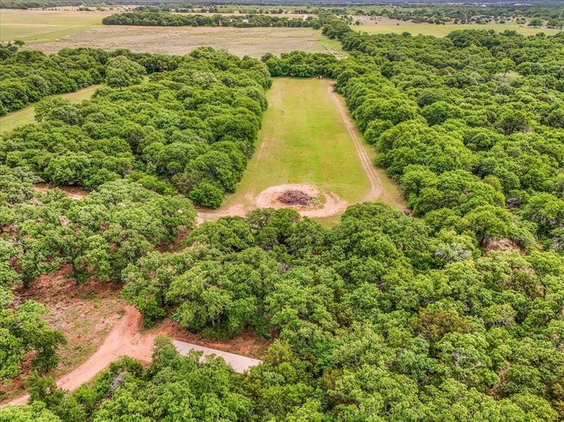Expansive acreage featuring mature trees and a cleared central greenspace