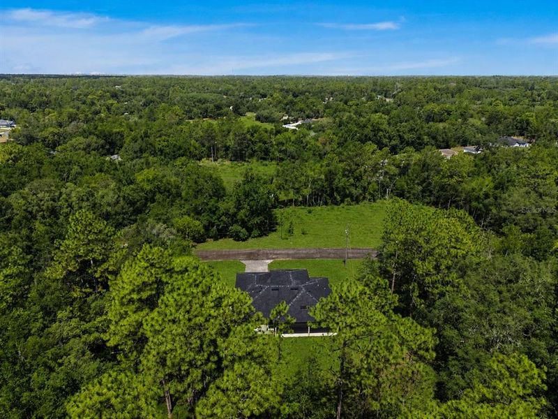 Natural landscape and outdoor views near  in Citrus Springs (Image 45).